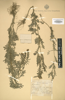 LE 01009031