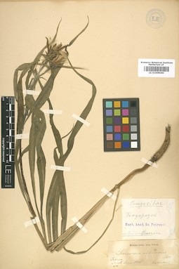 LE 01009040