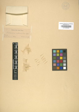 LE 01009042