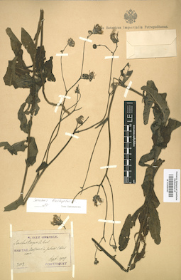 LE 01009045