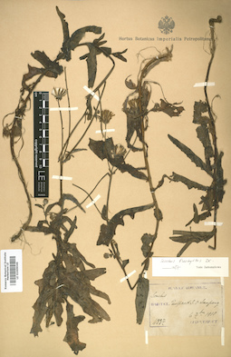 LE 01009046