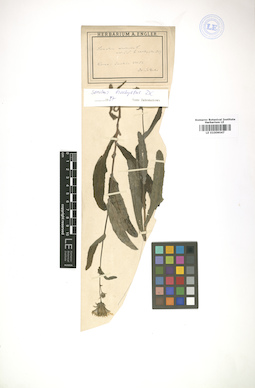 LE 01009047