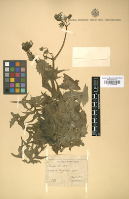 LE 01009048