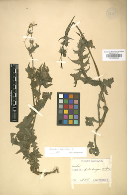 LE 01009049