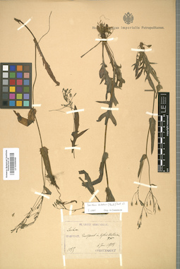 LE 01009068