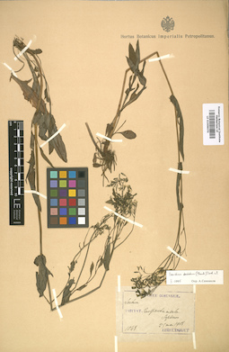 LE 01009070