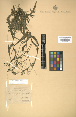 LE 01009071
