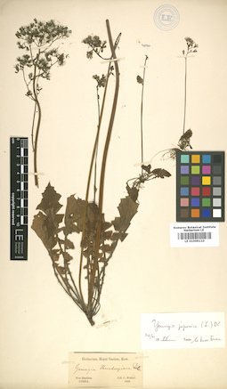 LE 01009110