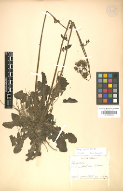 LE 01009114