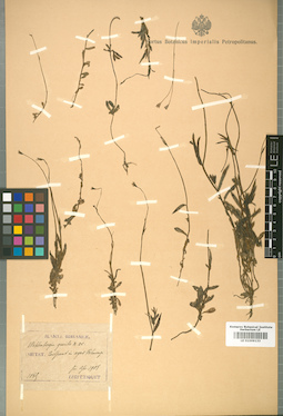LE 01009133