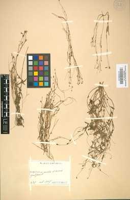 LE 01009134