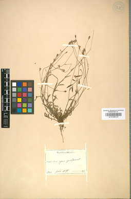 LE 01009135