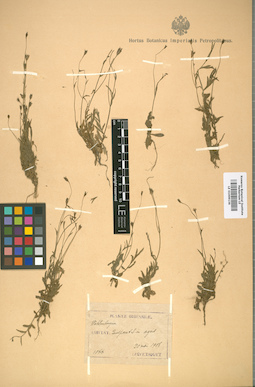 LE 01009136