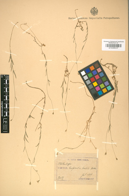 LE 01009137
