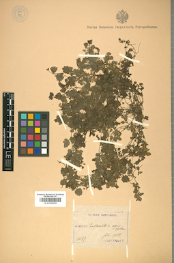 LE 01009150
