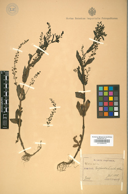 LE 01009152