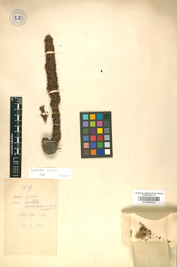 LE 01009161