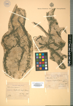 LE 01009164