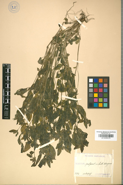 LE 01009170