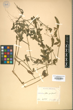 LE 01009171