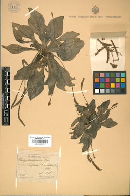 LE 01009179