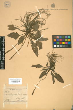 LE 01009180