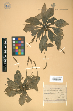 LE 01009182