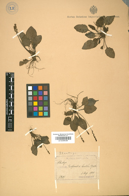 LE 01009184