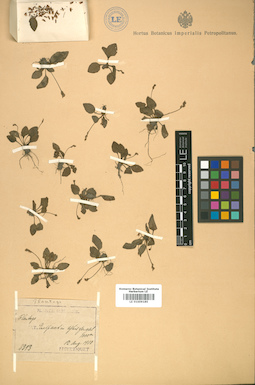 LE 01009185