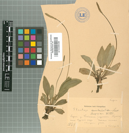 LE 01009186