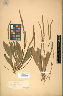 LE 01009187