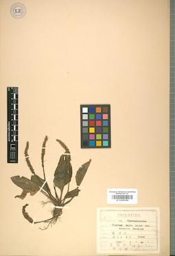 LE 01009189