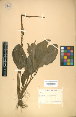 LE 01009190