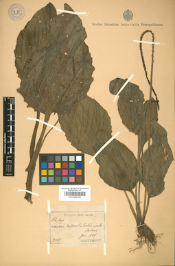 LE 01009191