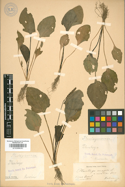 LE 01009192