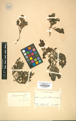 LE 01009193