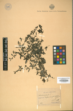 LE 01009194