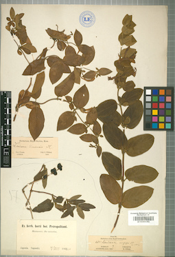 LE 01009201