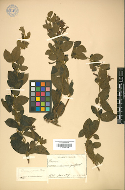 LE 01009208