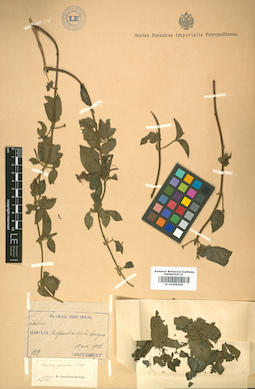 LE 01009209