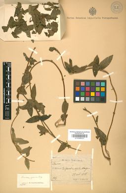 LE 01009211