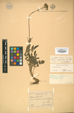 LE 01009265