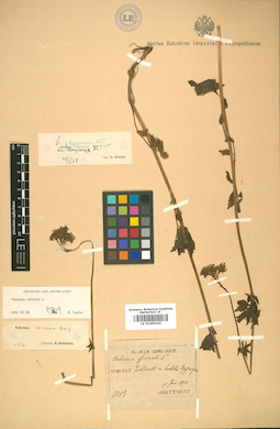 LE 01009266