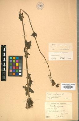 LE 01009267