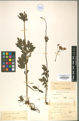 LE 01009268