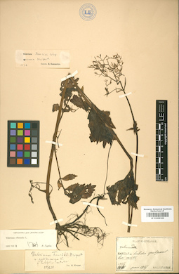 LE 01009269