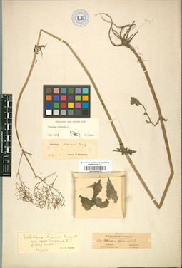 LE 01009270