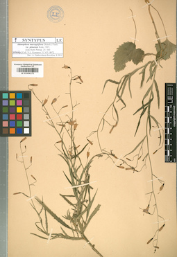 LE 01009272