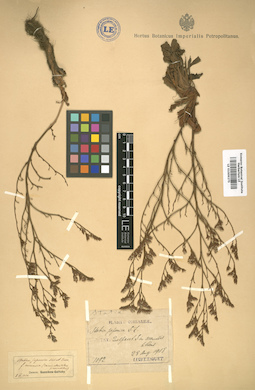 LE 01009275