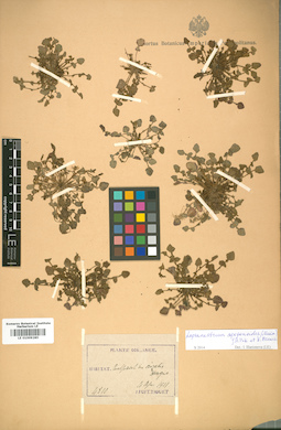 LE 01009285